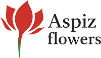 aspizflowers